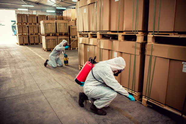 Best Affordable Pest Control Services  in Keasbey, NJ