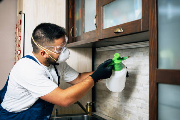 Pest Control for Restaurants in Keasbey, NJ