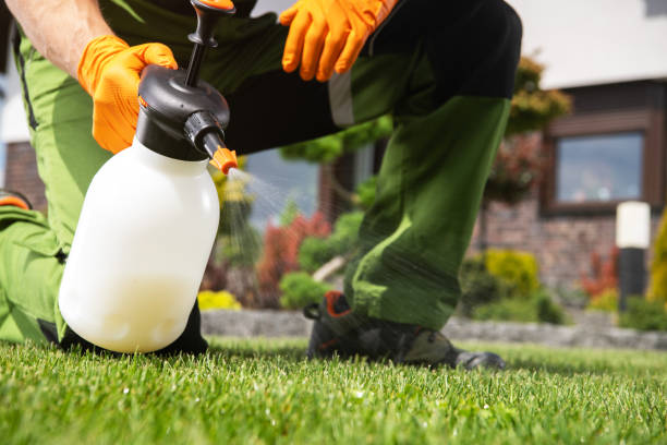 Trusted Keasbey, NJ Pest Control Experts