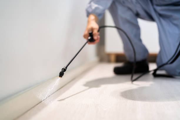 Best Pest Inspection Near Me  in Keasbey, NJ