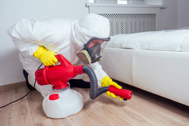 Flea Control Services in Keasbey, NJ