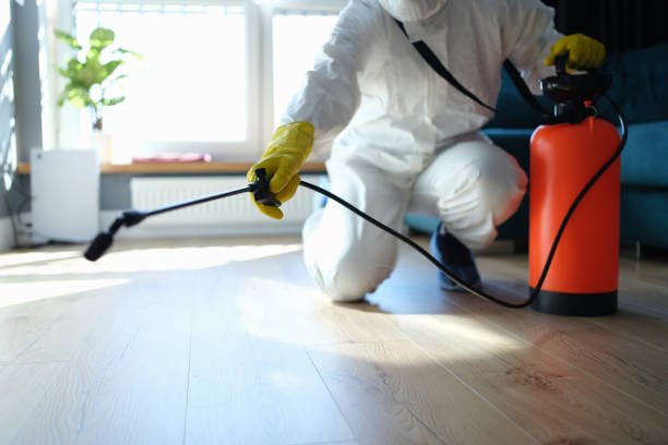 Best Residential Pest Control  in Keasbey, NJ