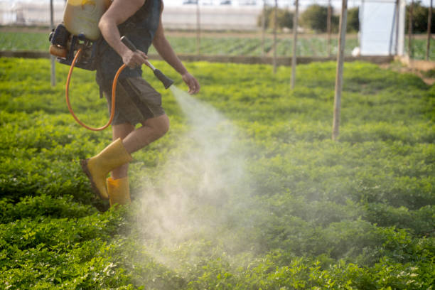 Best Commercial Pest Control Services  in Keasbey, NJ
