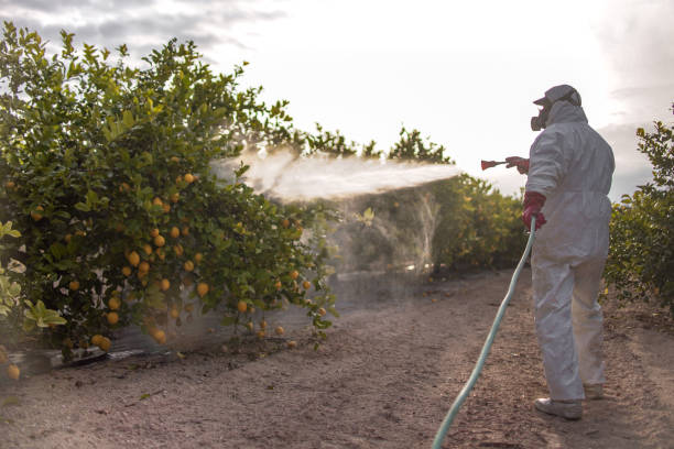 Best Affordable Pest Control Services  in Keasbey, NJ