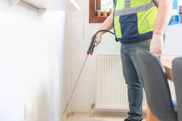 Best Local Pest Control Services  in Keasbey, NJ