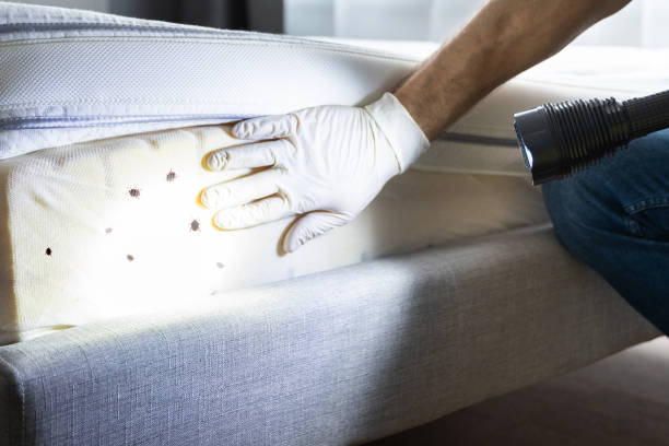 Best Best Pest Control Companies  in Keasbey, NJ