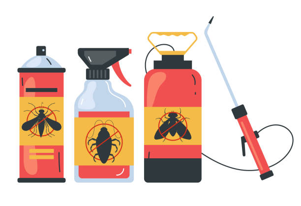 Best Termite Control Services  in Keasbey, NJ