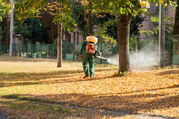 Pest Prevention Services in Keasbey, NJ